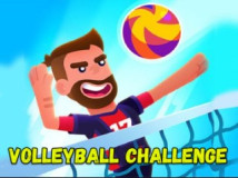 Volleyball Challenge